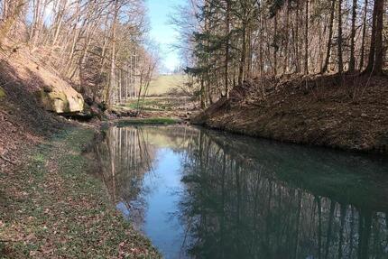 Wochenendgrundstück Freizeitgrundstück mitWeiher - Sankt Wendel