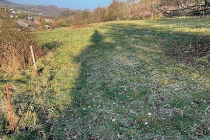 Wiese Grundstück Straßebersbach Ewersbach - Dietzhölztal