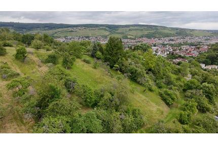Zur Pacht: Obstwiese Freizeitgrundstück Stückle Gütle Garten - Remshalden