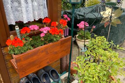 Biete Kleingarten in Altenburg - 500,00&nbsp;EUR Kaltmiete, ca.&nbsp; 0,00&nbsp;m&sup2; in Markkleeberg (PLZ: 04416)