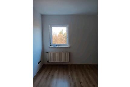 1 Zimmer Apartment - 400,00&nbsp;EUR Kaltmiete, ca.&nbsp; 40,00&nbsp;m&sup2; in Kirchen (Sieg) (PLZ: 57548)