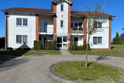 Wohnung zum Mieten in Marlow 575,00 € 44 m²