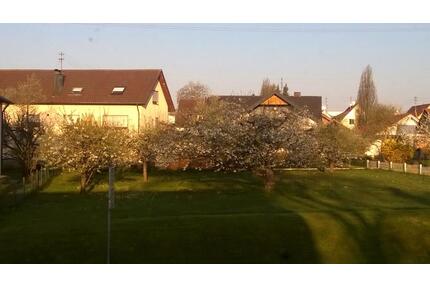 Baugrundstück 8,27a Voll erschlossen Plz 72355 - Schömberg