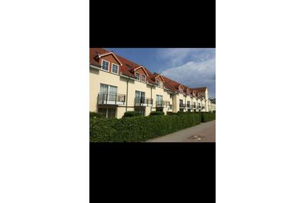 Wohnung Maisonette - 640,00&nbsp;EUR Kaltmiete, ca.&nbsp; 37,50&nbsp;m&sup2; in Greifswald (PLZ: 17489)