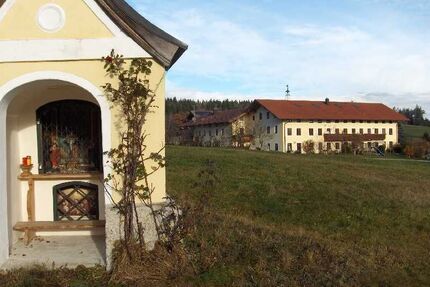 Idylle pur-traumhafte Wohnung im Einödhof Südwest - Tittmoning