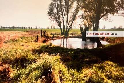 Grundstück zu verkaufen in Marlow 25.000,00 € 2891 m²