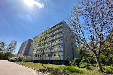 Wohnung zum Mieten in Chemnitz 260,00 € 36.14 m²