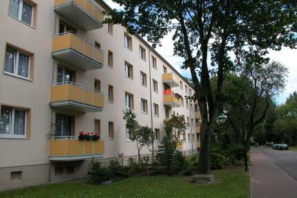 Wohnung zum Mieten in Braunsbedra 327,00 € 50.05 m²