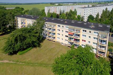 Wohnung zum Mieten in Wolgast 144,00 € 25 m²