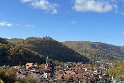 Wohnung zum Kaufen in Bad Urach 175.000,00 € 55 m²