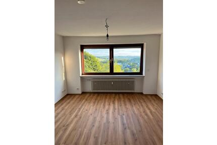 Neu renovierte Wohnung 3 ZKB in Bad Marienberg zu vermieten - Bad Marienberg (Westerwald)