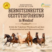 Gestütsführung Wendorf / Erlebnisreiterhof Bernsteinreiter