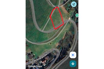 Reben zur Pacht Bühl-Altschweier - Kehl