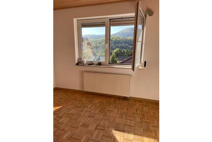 Erstbezug nach Renovierung: 3ZKB Maisonette Wohnung - Annweiler am Trifels