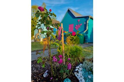 Kleines Gartenparadies im KGV Geibelhöhe in liebevolle Hände abzu - Chemnitz Adelsberg