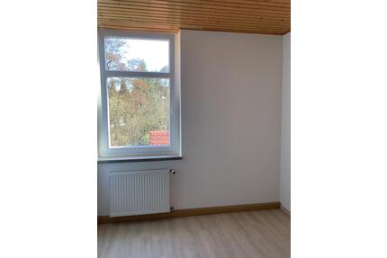 2 Raum Wohnung - 350,00&nbsp;EUR Kaltmiete, ca.&nbsp; 55,00&nbsp;m&sup2; in Lichtentanne (PLZ: 08115)