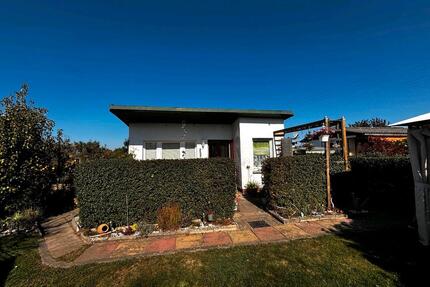 Euer Platz zum Aufblühen: Kleingarten in der KGA Greif - Papendorf