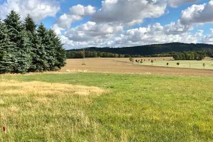 Grundstück zu verkaufen in Steina 250.000,00 € 2500 m²