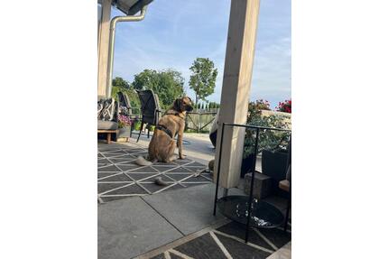 WG in DHH mit Garten und Hundem - Deggendorf