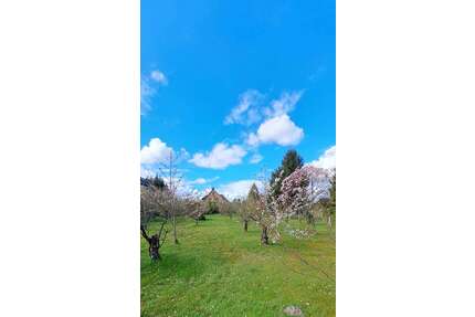 Haus zum Kaufen in Buxtehude 399.000,00 € 150 m²