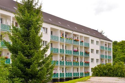 Frisch saniert! 2-Raum Wohnung im Erdgeschoss in Top-Lage - Reichenbach im Vogtland