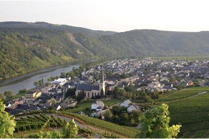 Wohnung 70 qm, 3 Zimmer KDB direkt an der Mosel - Kröv