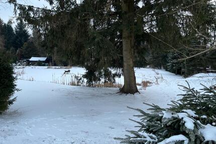 Freizeitgrundstück mit Teichen bei Weißenstadt - Zell im Fichtelgebirge