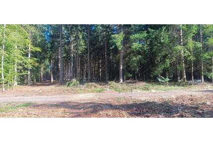 Grundstück in Bad Waldsee - Osterhofen 50.000,00 € 9578 m²