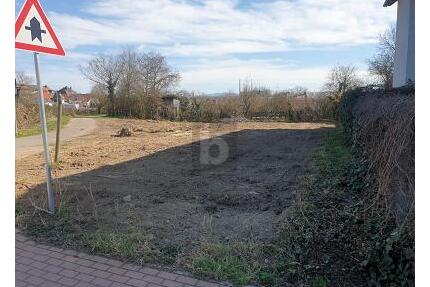 KAISERSTÜHLER IDYLLE TRIFFT FREIBURGER STADTNÄHE - Ihringen