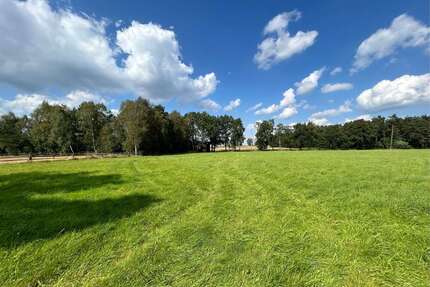 Haus zum Kaufen in Bispingen 2.200.000,00 € 450 m²