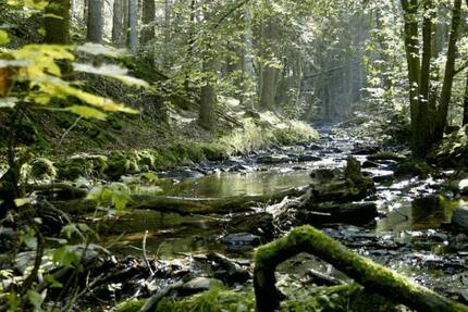 Wohnung Nähe Hillesheim und Gerolstein