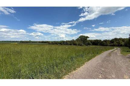Idyllisch am Ortsrand - 149.295,00&nbsp;EUR Kaufpreis, ca.&nbsp; 0,00&nbsp;m&sup2; in Arnstadt (PLZ: 99310) Marlishausen