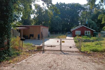 Grundstück mit Potential. Schwedenhaus, Scheune. Pferdehaltung. - Rehden