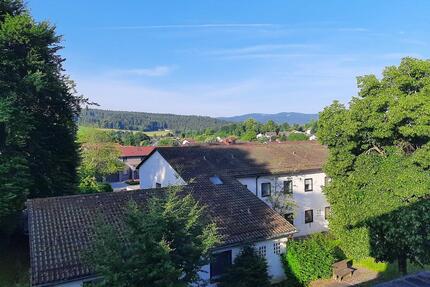 Neu renovierte Mietwohnung - 650,00&nbsp;EUR Kaltmiete, ca.&nbsp; 66,00&nbsp;m&sup2; in Regen (PLZ: 94209)