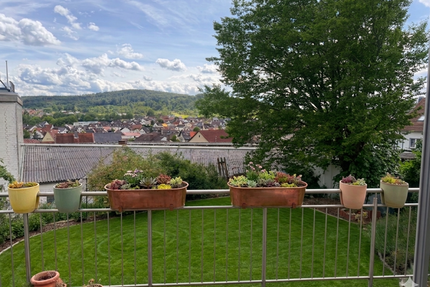 Haus zum Kaufen in Aschaffenburg 1.375.000,00 € 240 m²
