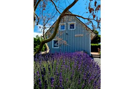 Ferienhaus Tietverdriew Glowe Rügen BoddenInge Ostsee Familien - Sagard