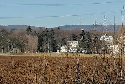 Streuobstwiese im Naherholungsgebiet - Oberursel (Taunus)