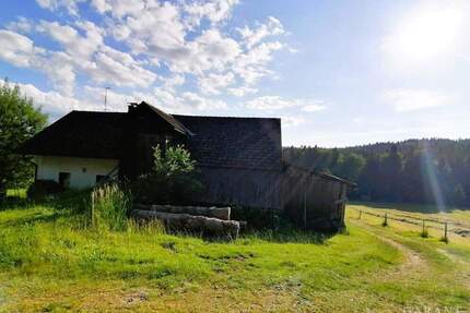 Idylle pur! Bauernhaus sucht Handwerker! - Hohenau Weidhütte