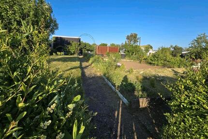 Pachtgarten KGA „Inselsbergblick e.V.” Gotha