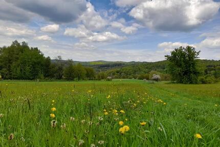 Große 3 Zimmer Wohnung - 800,00&nbsp;EUR Kaltmiete, ca.&nbsp; 98,00&nbsp;m&sup2; in Schlangenbad (PLZ: 65388)