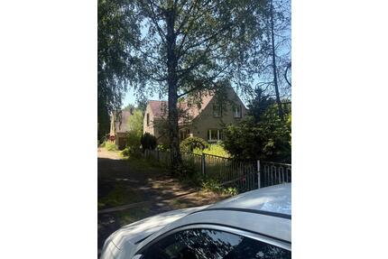 Großes WohnGewerbegrundstück, viel Grün - Elsterwerda