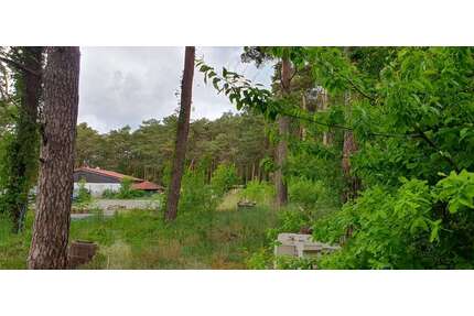 Grundstück zu verkaufen in Gem. HeideseeOT Kolberg 175.000,00 € 864 m² - Gem. Heidesee/OT Kolberg