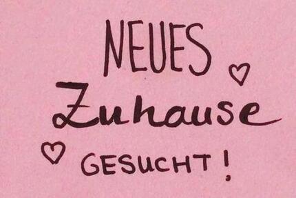 Kleine Wohnung Zimmer - 123,00&nbsp;EUR Kaltmiete, ca.&nbsp; 30,00&nbsp;m&sup2; in Breitengüßbach (PLZ: 96149)
