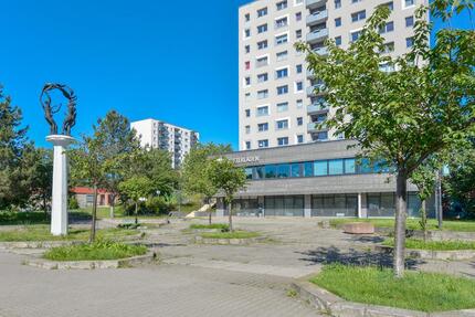 Weitblick garantiert im Zweitbezug nach Sanierung - Halle (Saale) Gesundbrunnen