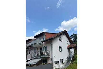 Haus zum Kaufen in Michelstadt 590.000,00 € 237 m²