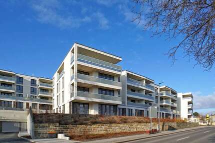 Wohnung zum Mieten in Dresden 1.215,00 € 81 m²