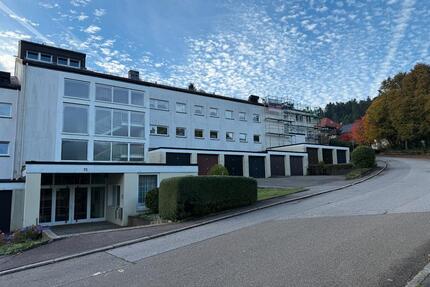 Helle 1-Zimmer-Wohnung mit Terrasse und neuer Einbauküche in Freu - Freudenstadt