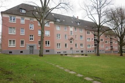 Wohnen, wo das Herz schlägt - in grüner Umgebung. - Essen Stadtbezirk III