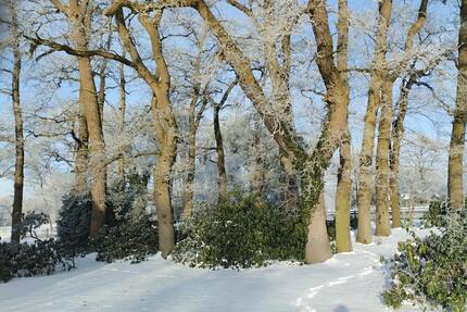 Wohnung an Rentner..oder Alleinlebende - Schwanewede