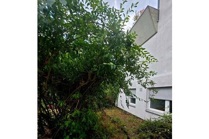 Eine 3 ZKB Wohnung bei Bad Kreuznach provisionsfrei zu verkaufen - Bad Sobernheim